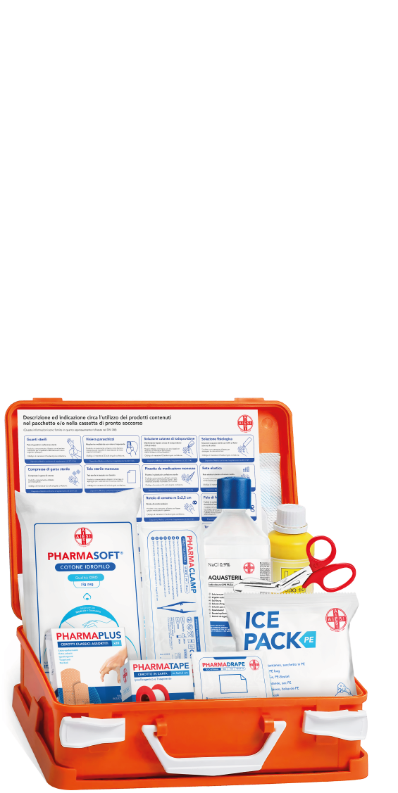AIESI® Medical First Aid Box with Attachment 2 for Companies Less than 3 Employees, DM388/DL81 Compliant, Made in Italy