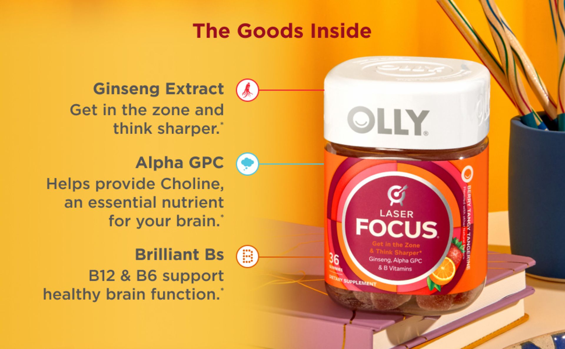 OLLY Laser Focus Gummy Supplement,* Ginseng Extract, Alpha GPC - 36 Count