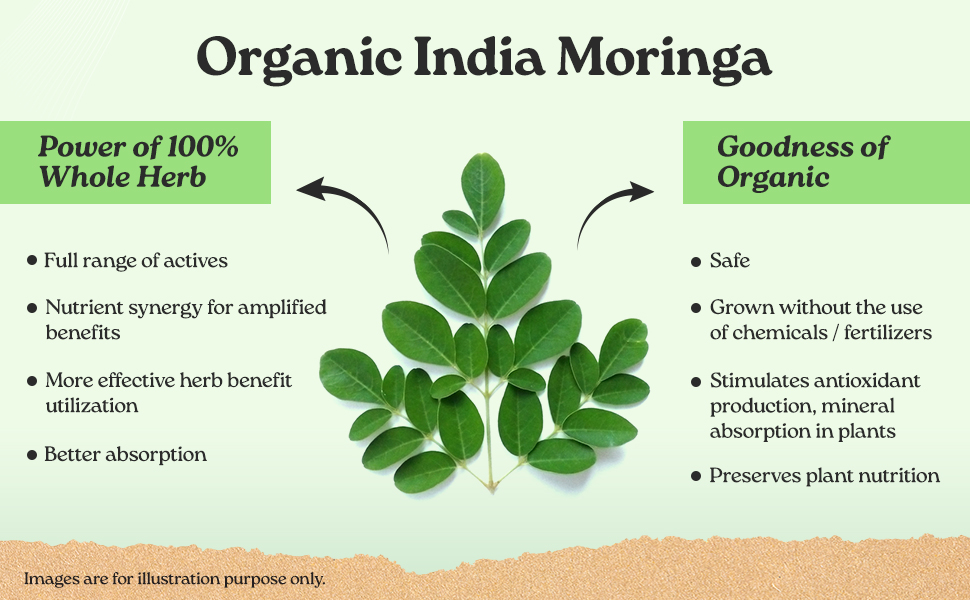 A TATA Product - Organic India Moringa Capsules - 60 Veg Caps, Essential Nutrition Superfood, Helps Naturally Boost Energy Level, Improves Stamina, Rich In Vitamins & Minerals, GMP & NPOP Certified Organic
