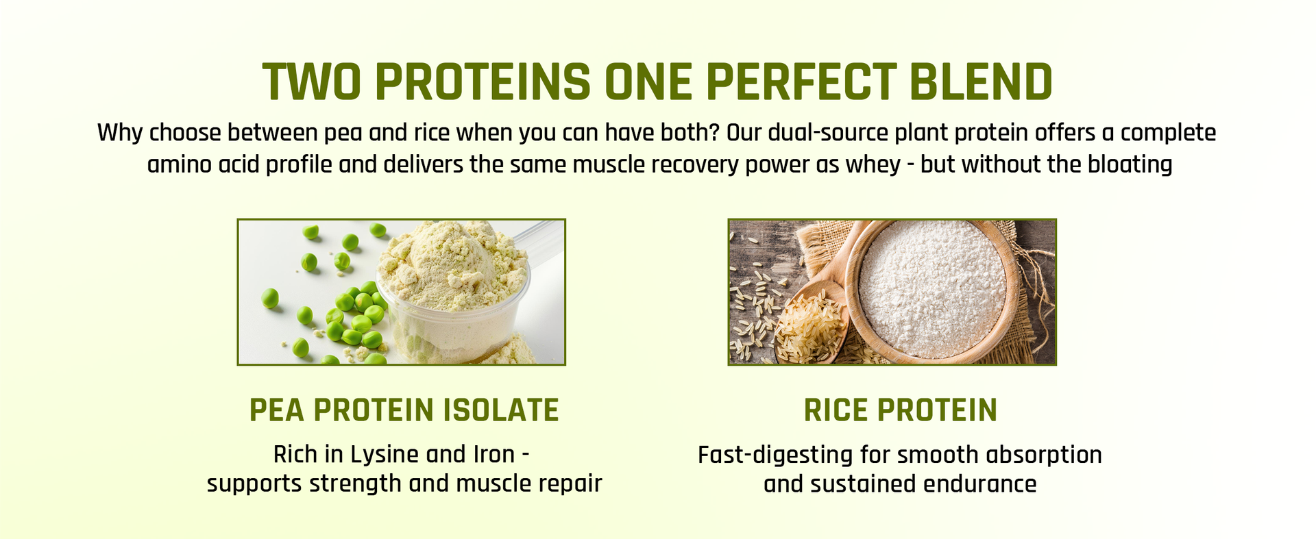 NATURALTEIN Plant Protein | 23g Clean Vegan Protein with BC30 Probiotic | Natural Pista Flavour | Supports Strength, Energy & Gut Health | No Added Sugar, 100% Natural & Easily Digestible
