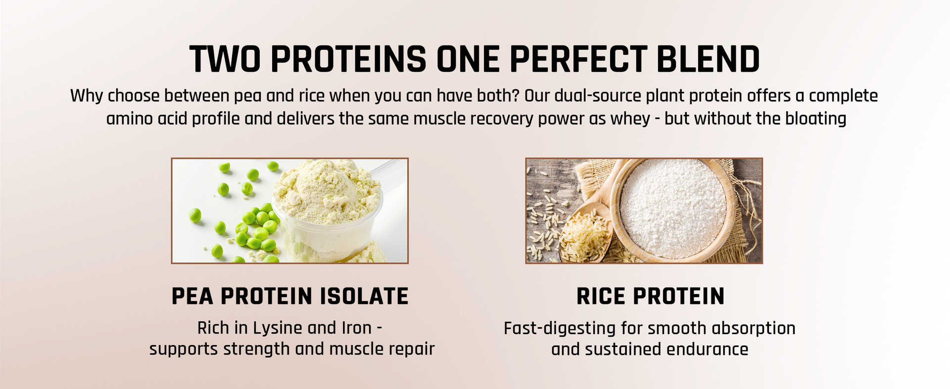 NATURALTEIN Plant Protein – 22g Clean Protein per Serving with BC30 Probiotic | Chocolate Flavour | Supports Strength, Energy & Gut Health | No Added Sugar | 100% Natural, Vegan & Easily Digestible Nutrition