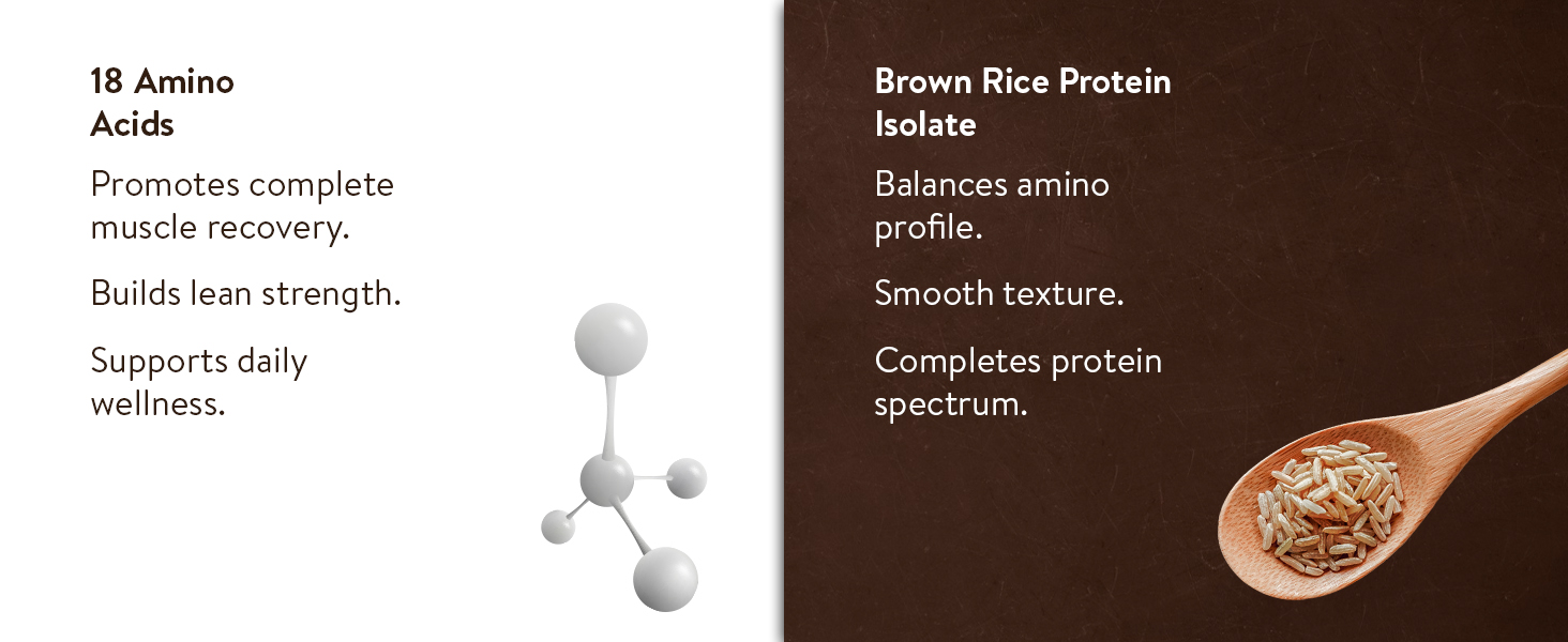 Happy Cultures 26g Tastiest Plant Protein| Chocolate, Almond Chunks & Ashwagandha (KSM 66)| Pea & Brown Rice Protein Isolate| No Added Sugar| Vegan| 20 Complete Amino Acids| Monk Fruit Extract| Women & Men| No Bloating, Easy to Digest| Dairy Free with Probiotics- 505g, Chocolate