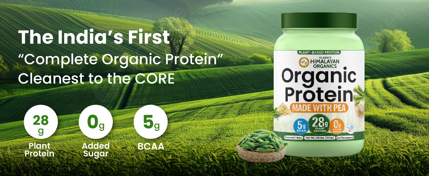 Vlado's Himalayan Organics Organic protein Powder I Plant protein I 28G Protein , 5G BCAA I Made with 100% Organic Pea's I Clean & Vegan Protein I Lab Tested I Fast Absorbing, No Bloating, Easy to Digest | Faster Muscle Recovery I Unflavoured - 500 Grams