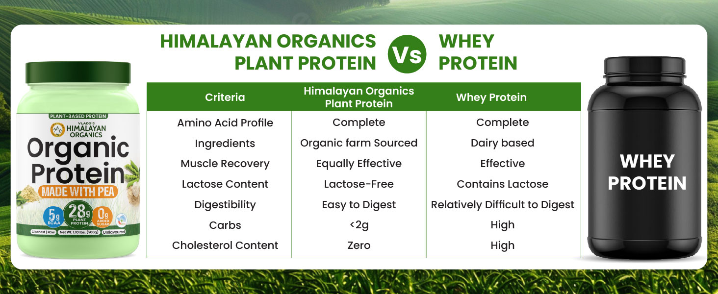 Vlado's Himalayan Organics Organic protein Powder I Plant protein I 28G Protein , 5G BCAA I Made with 100% Organic Pea's I Clean & Vegan Protein I Lab Tested I Fast Absorbing, No Bloating, Easy to Digest | Faster Muscle Recovery I Unflavoured - 500 Grams