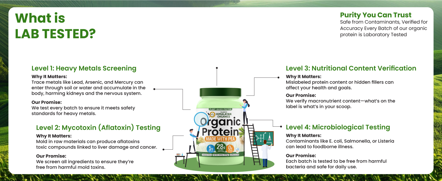 Vlado's Himalayan Organics Organic protein Powder I Plant protein I 28G Protein , 5G BCAA I Made with 100% Organic Pea's I Clean & Vegan Protein I Lab Tested I Fast Absorbing, No Bloating, Easy to Digest | Faster Muscle Recovery I Unflavoured - 500 Grams