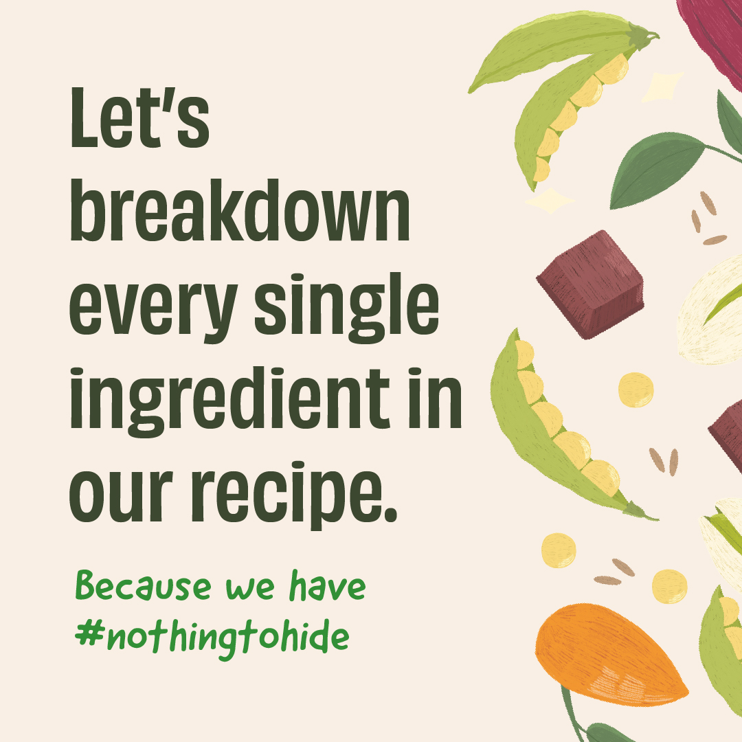 The Whole Truth Plant Protein Isolate 1 KG (2.2 lbs) | Pista Badaam | 24g Protein/Scoop | Real Ingredients | Clean Recipe | No Added Flavours | Pea & Rice Isolate | Easy to Digest