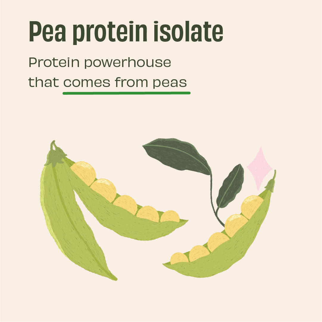 The Whole Truth Plant Protein Isolate 1 KG (2.2 lbs) | Pista Badaam | 24g Protein/Scoop | Real Ingredients | Clean Recipe | No Added Flavours | Pea & Rice Isolate | Easy to Digest