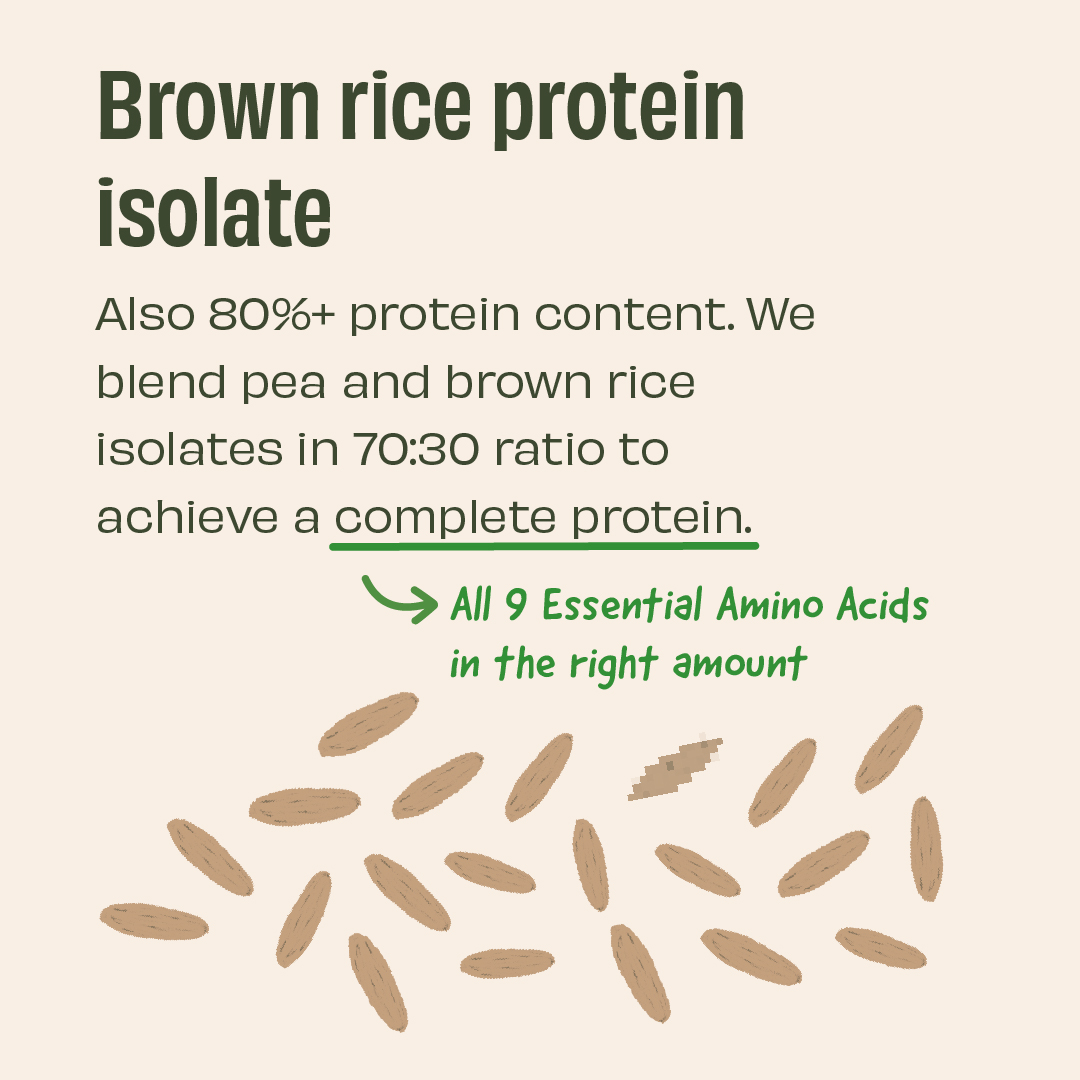 The Whole Truth Plant Protein Isolate 1 KG (2.2 lbs) | Pista Badaam | 24g Protein/Scoop | Real Ingredients | Clean Recipe | No Added Flavours | Pea & Rice Isolate | Easy to Digest