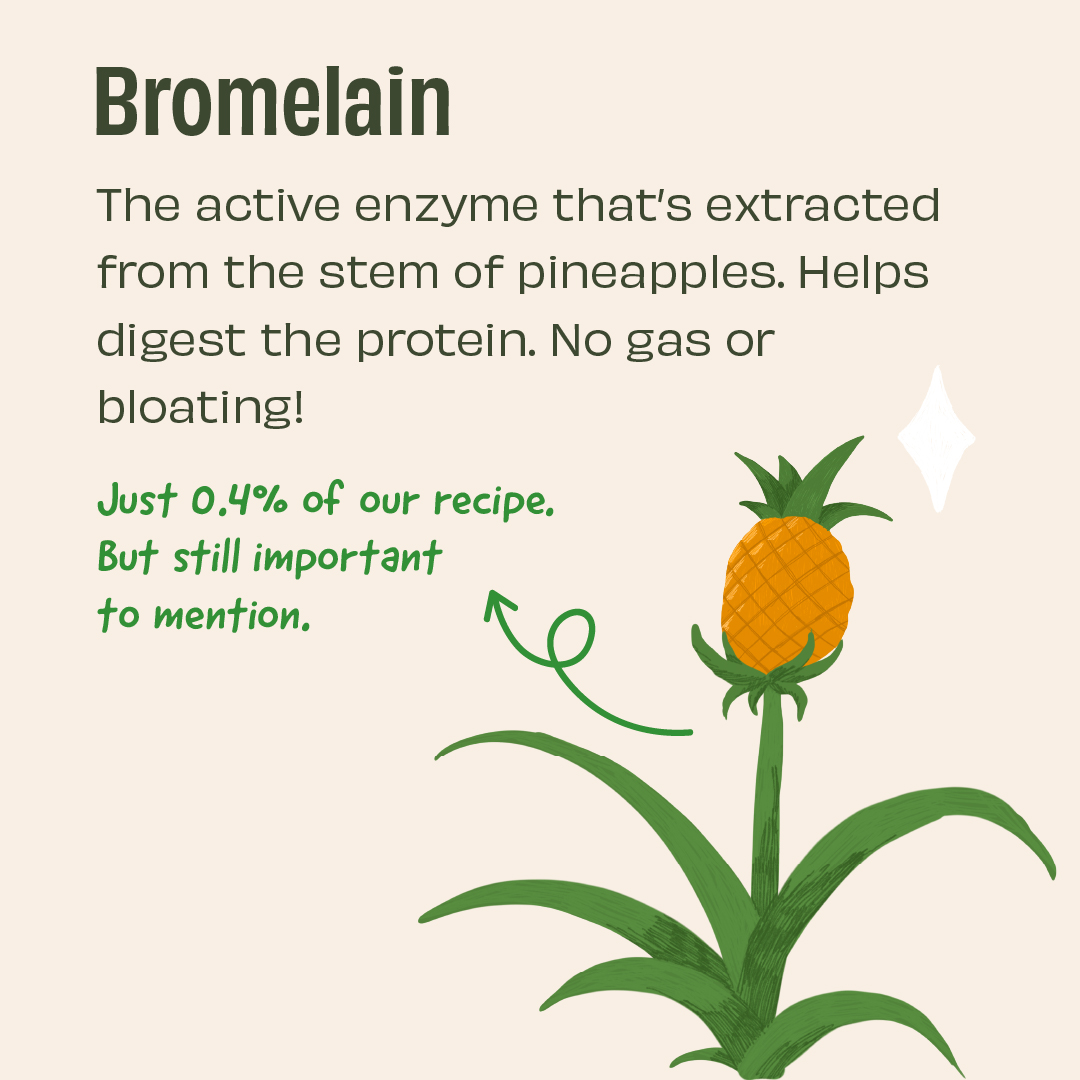 The Whole Truth Plant Protein Isolate 1 KG (2.2 lbs) | Pista Badaam | 24g Protein/Scoop | Real Ingredients | Clean Recipe | No Added Flavours | Pea & Rice Isolate | Easy to Digest