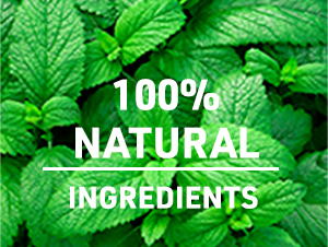 TEACURRY Detox Tea Herbal - 15 Tea Bags | Helps with Liver Detox, Intestinal Health | 100% Natural | Green Tea Leaves