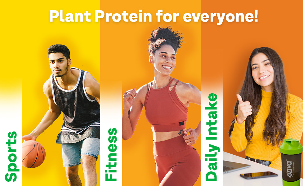 OZiva Bioactive Plant Protein Powder, 5.5g BCAA, Pea Isolate, Mango, 500g