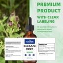 burdock-root-liquid-extract-organic-arct-5.jpg