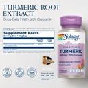 solaray-turmeric-supplement-600mg-turmer-2.jpg