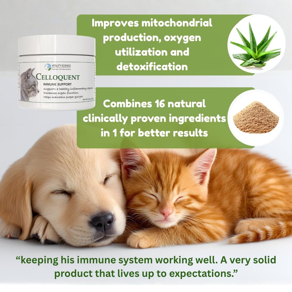 vitality-science-celloquent-for-cats-enh-2.jpg