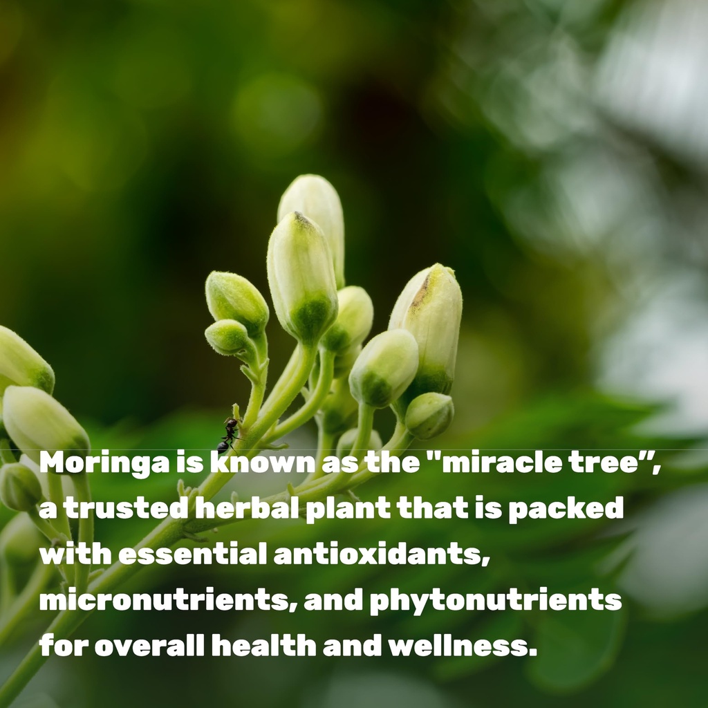 moringa-capsules-240-capsules-4-month-su-4.jpg
