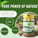 basic-ayurveda-giloy-guduchi-powder-7-05-2.jpg