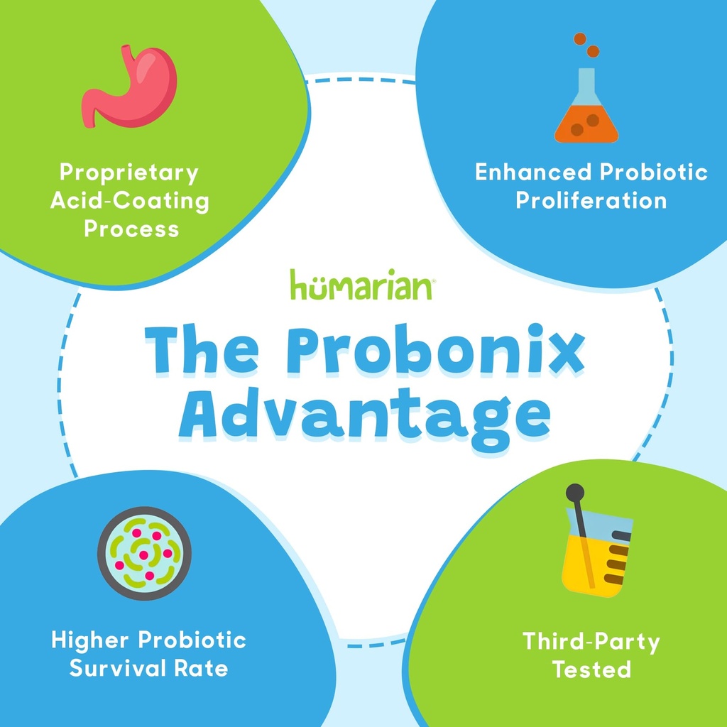 probonix-humarian-for-kids-aged-1-9-year-6.jpg