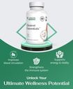 cholest-essentials-60-capsules-vegan-sup-4.jpg