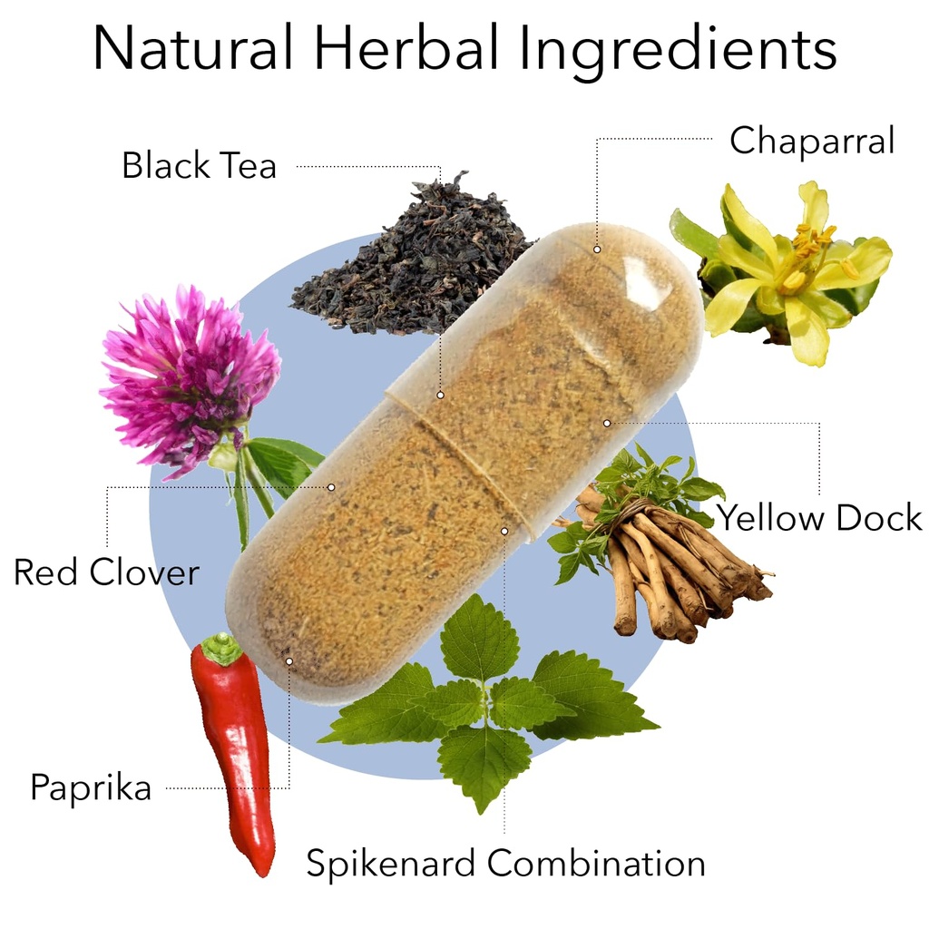 kroeger-herb-products-chem-x-daily-detox-2.jpg