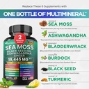 dynamic-vitality-bundle-sea-moss-7000mg--2.jpg