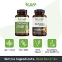 b-leaf-nature-moringa-berberine-bundle-n-3.jpg