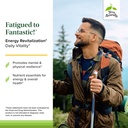 terry-naturally-fatigued-to-fantastic-en-3.jpg