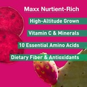 maxx-herb-red-nopal-cactus-capsules-orga-6.jpg