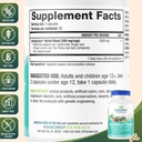 ridgecrest-herbals-airwayclear-lung-heal-3.jpg