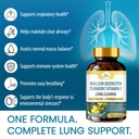organic-veda-mullein-quercetin-turmeric--4.jpg