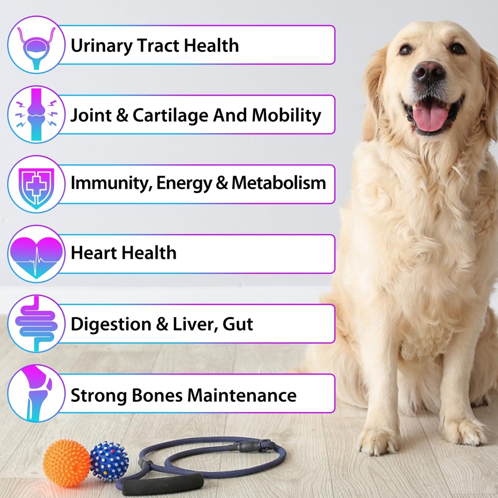 dog-multivitamin-15-in-1-dog-multivitami-2.jpg