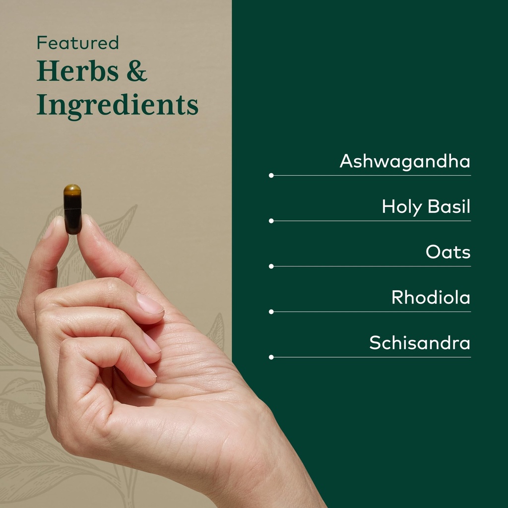 gaia-herbs-pro-daytime-hpa-adaptogen-sup-4.jpg