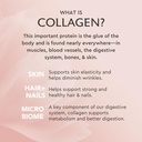 alaya-multi-collagen-powder-type-i-ii-ii-4.jpg