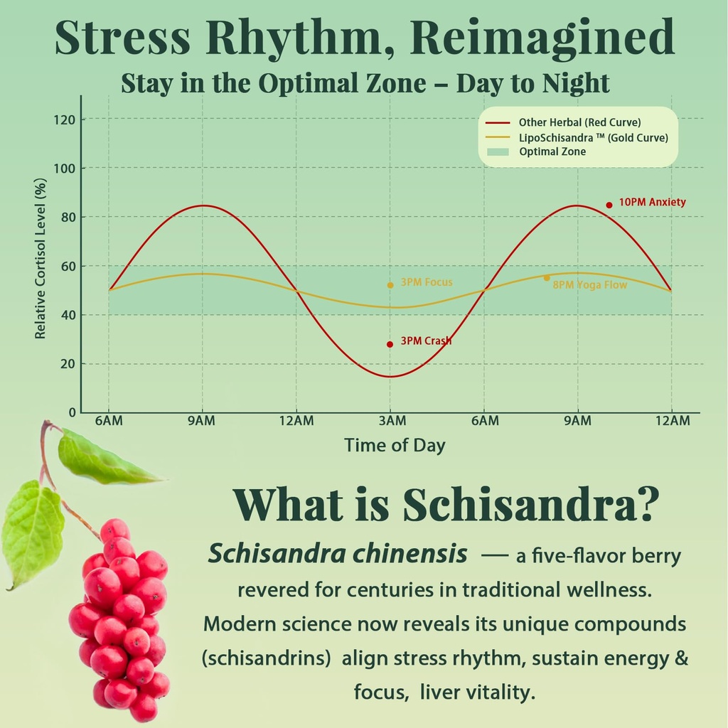 liposomal-schisandra-berry-extract-1200m-4.jpg