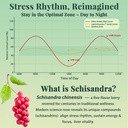 liposomal-schisandra-berry-extract-1200m-4.jpg