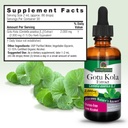 nature-s-answer-gotu-kola-herb-2-oz-4.jpg