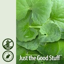 nature-s-answer-gotu-kola-herb-2-oz-5.jpg