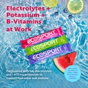 ecosport-instant-hydration-packets-water-4.jpg