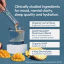 hydralyte-brain-support-memory-focus-ele-3.jpg