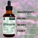 echinacea-4-fl-oz-liquid-extract---organ-3.jpg