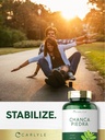 carlyle-chanca-piedra-200-capsules-non-g-6.jpg