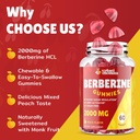2000mg-berberine-supplement-gummies---hi-2.jpg