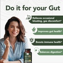 rigma-herbal-bee-gut-health-gas-and-bloa-4.jpg
