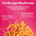 fungiments-super-bouncy-mushroom-supplem-2.jpg
