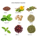 daily-detox-cleanser-peppermint-dandelio-5.jpg