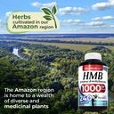 fito-medic-s-lab-hmb-240-capsules-1000-m-6.jpg