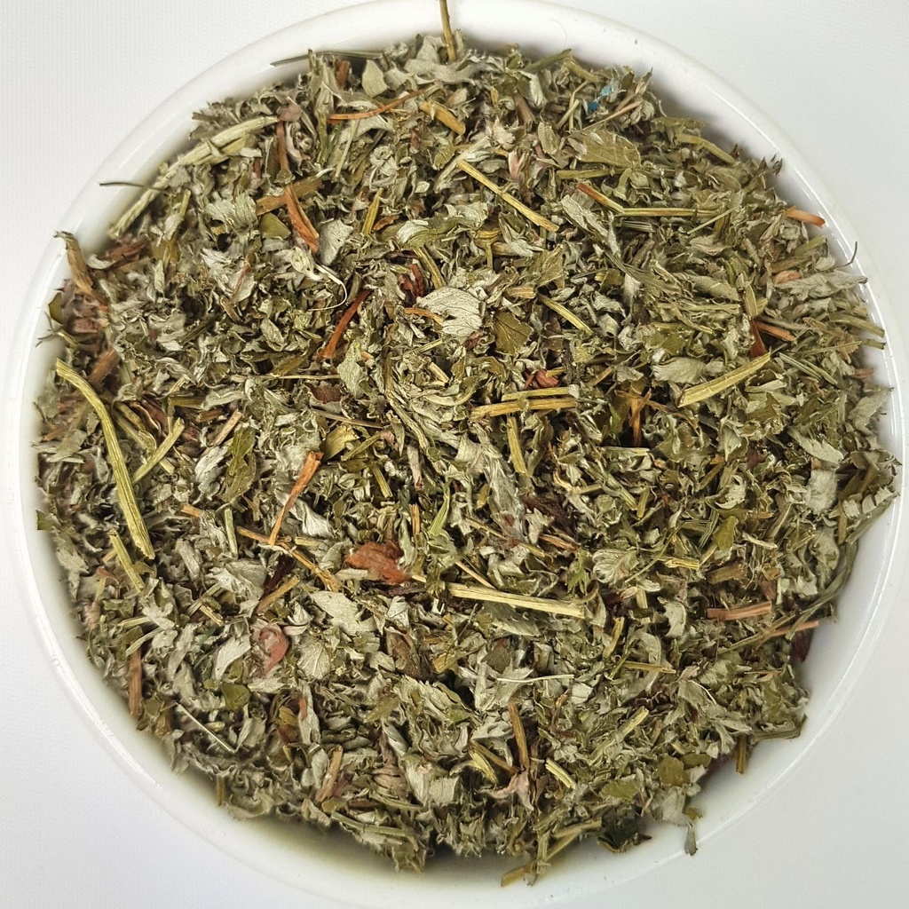 health-embassy-silverweed-herb-potentill-3.jpg
