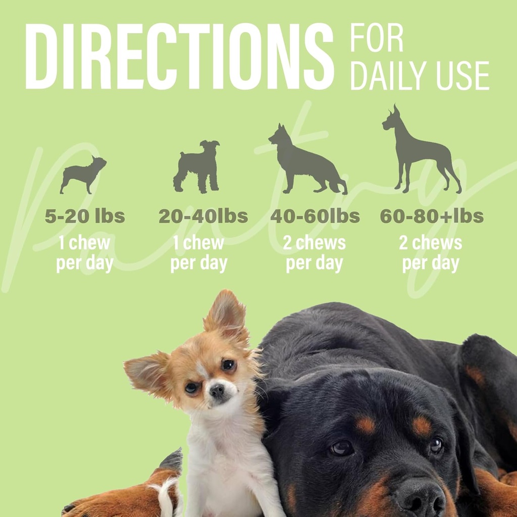 balanced-belly-probiotics-for-dogs-diges-6.jpg