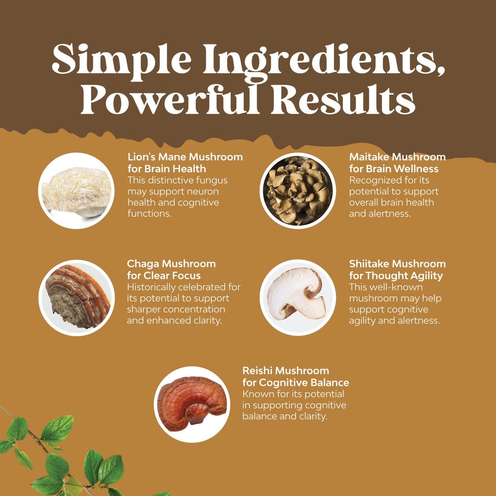 advanced-lion-s-mane-mushroom-supplement-5.jpg
