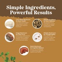 advanced-lion-s-mane-mushroom-supplement-5.jpg