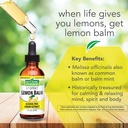 botanic-choice-lemon-balm-rosemary-leaf--5.jpg